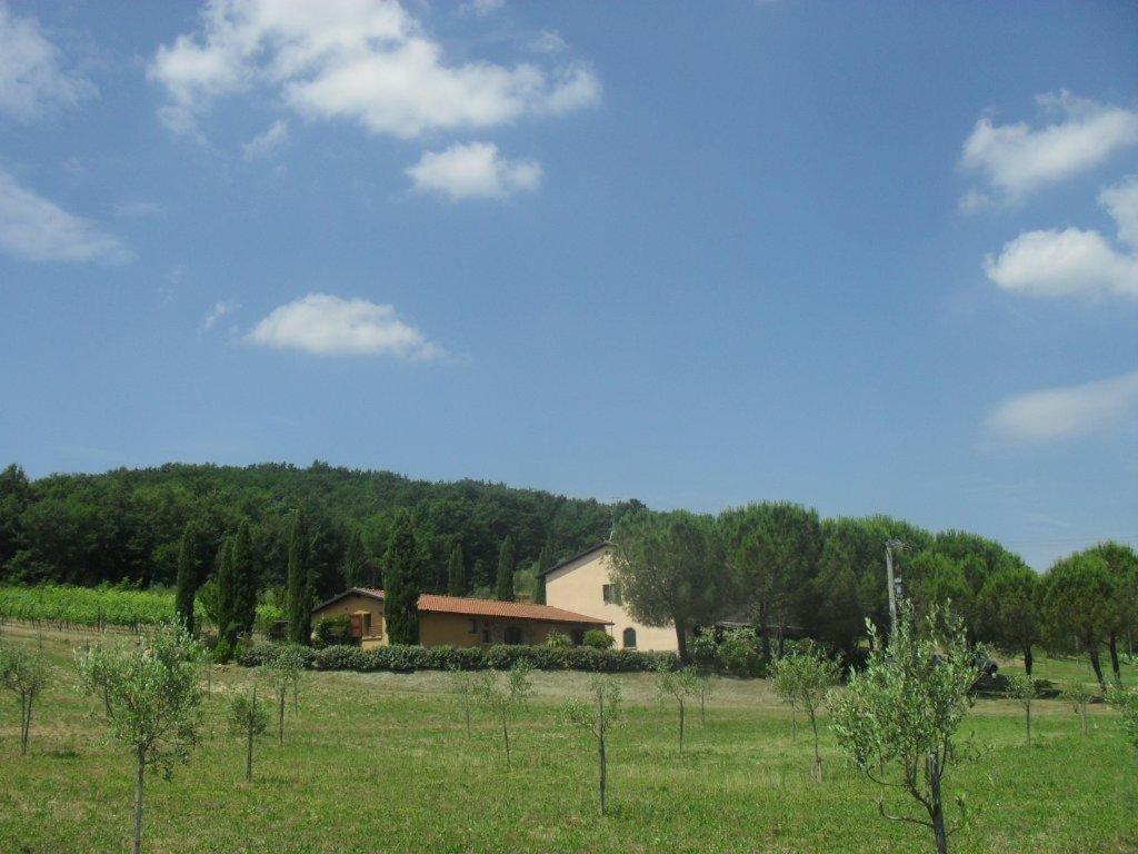 Agriturismo Podere Mulinaccio Ribolla Ngoại thất bức ảnh