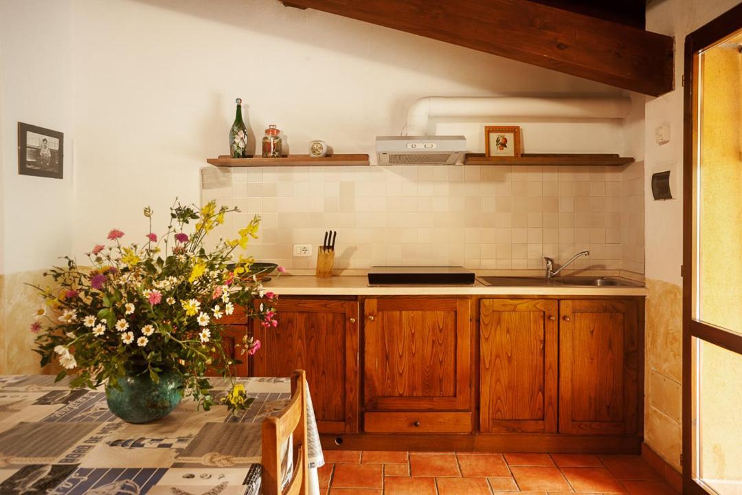 Agriturismo Podere Mulinaccio Ribolla Ngoại thất bức ảnh