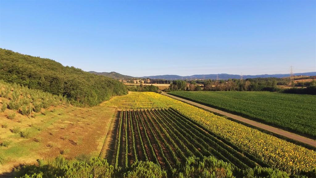 Agriturismo Podere Mulinaccio Ribolla Ngoại thất bức ảnh