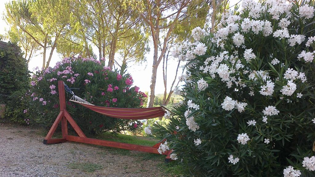 Agriturismo Podere Mulinaccio Ribolla Ngoại thất bức ảnh