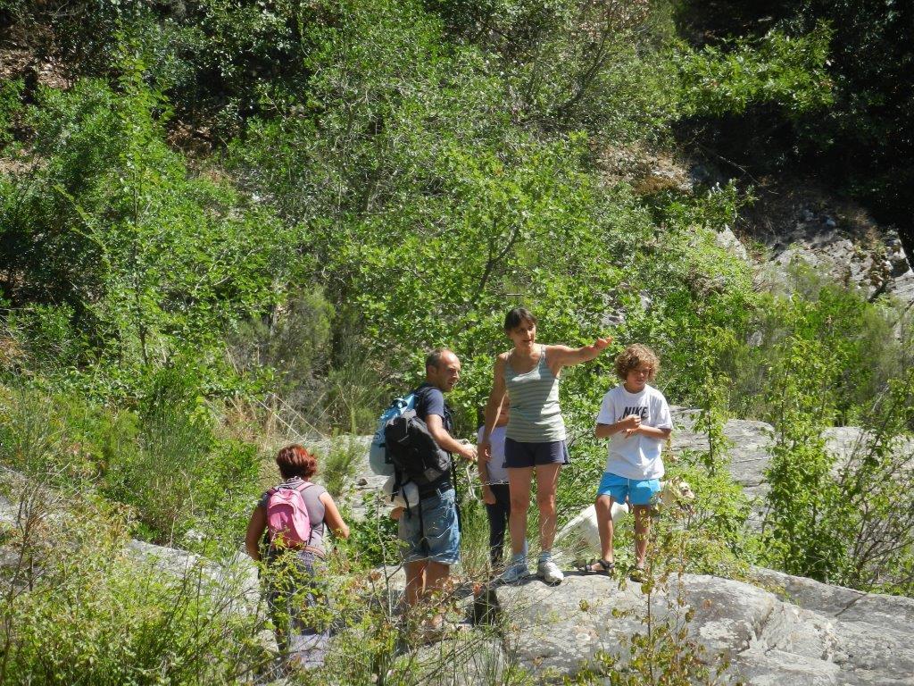 Agriturismo Podere Mulinaccio Ribolla Ngoại thất bức ảnh